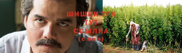 не бодяженный Дмитриев