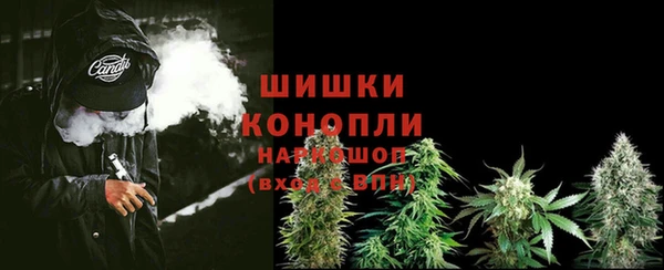 не бодяженный Дмитриев