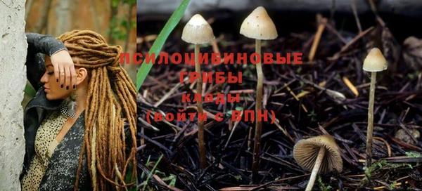 кокс Дмитровск
