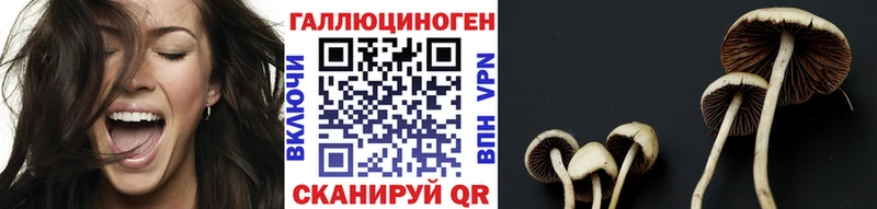 OMG   это какой сайт  Псилоцибиновые грибы Psilocybine cubensis  как найти закладки  Вязники 