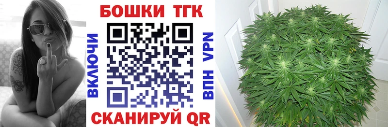 Конопля сатива  где купить наркоту  Вязники 